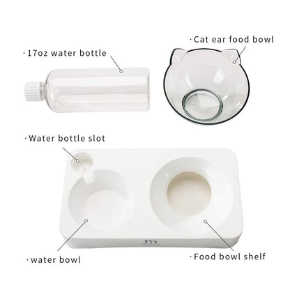 Tilted Raised Cat Food Bowl and Gravity Water Bottle with Feeding Mat