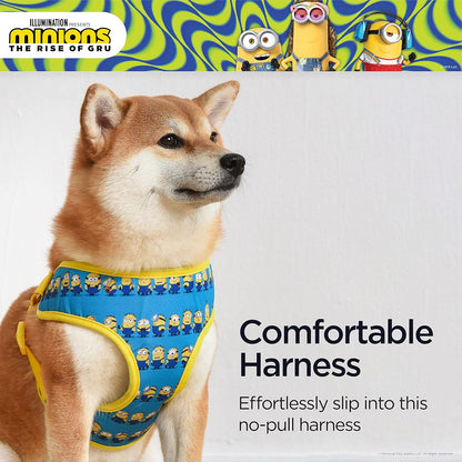 Blue Dog Harness, Small